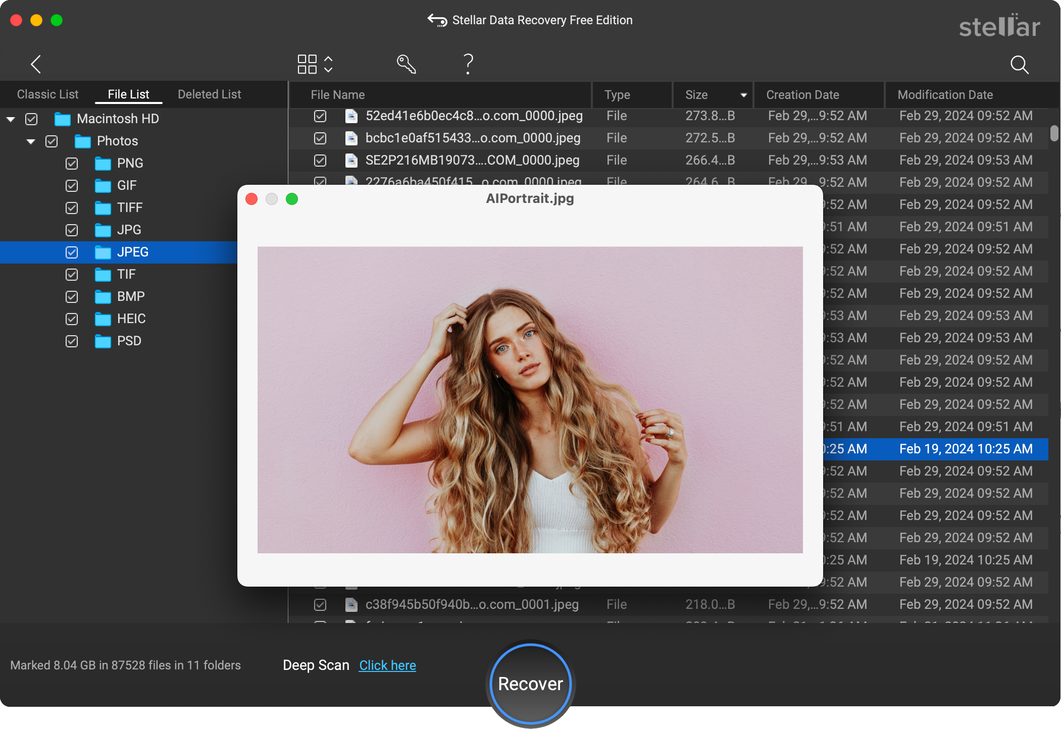 Preview and Recover Files