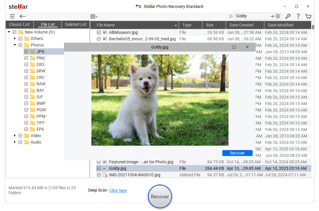 Stellar Photo Recovery - preview  photos
